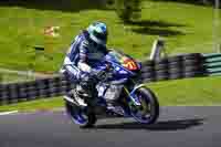 cadwell-no-limits-trackday;cadwell-park;cadwell-park-photographs;cadwell-trackday-photographs;enduro-digital-images;event-digital-images;eventdigitalimages;no-limits-trackdays;peter-wileman-photography;racing-digital-images;trackday-digital-images;trackday-photos